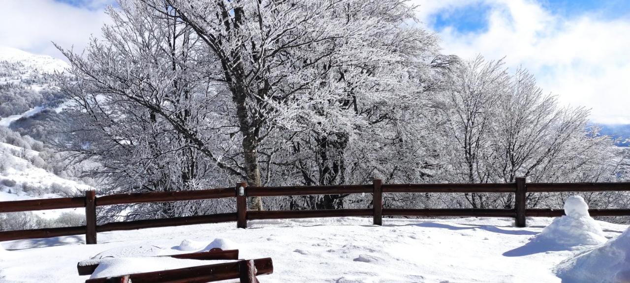 Vikendica Vila Despotovic Villa Kopaonik Eksteriør billede