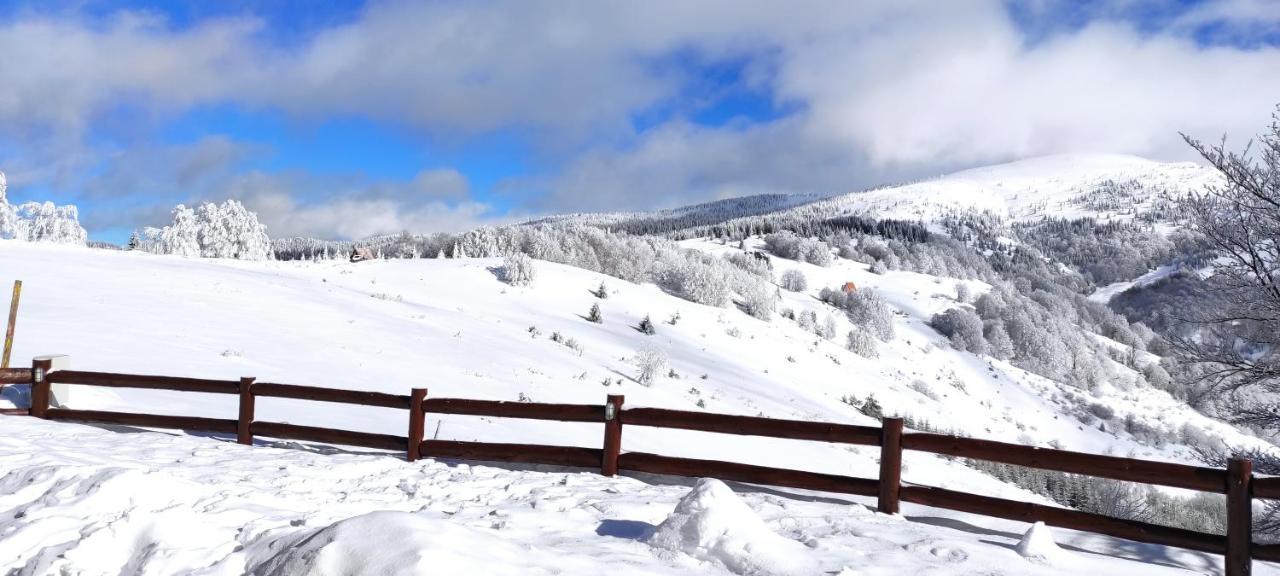 Vikendica Vila Despotovic Villa Kopaonik Eksteriør billede