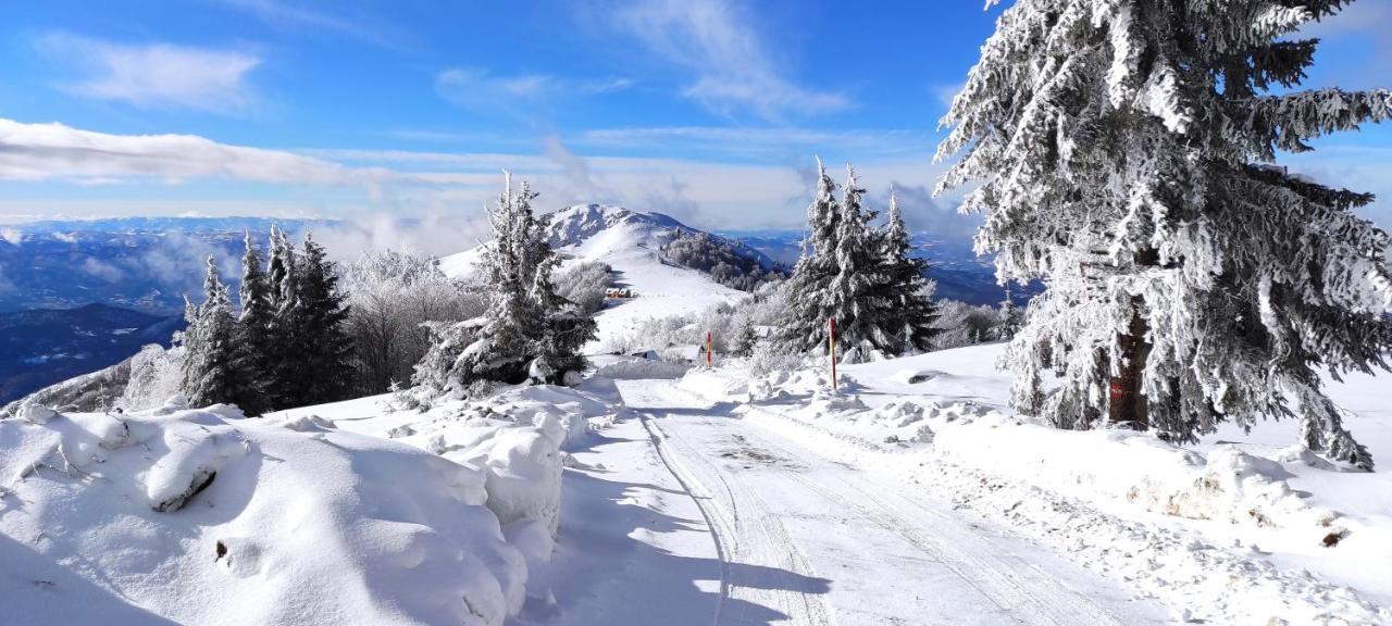 Vikendica Vila Despotovic Villa Kopaonik Eksteriør billede