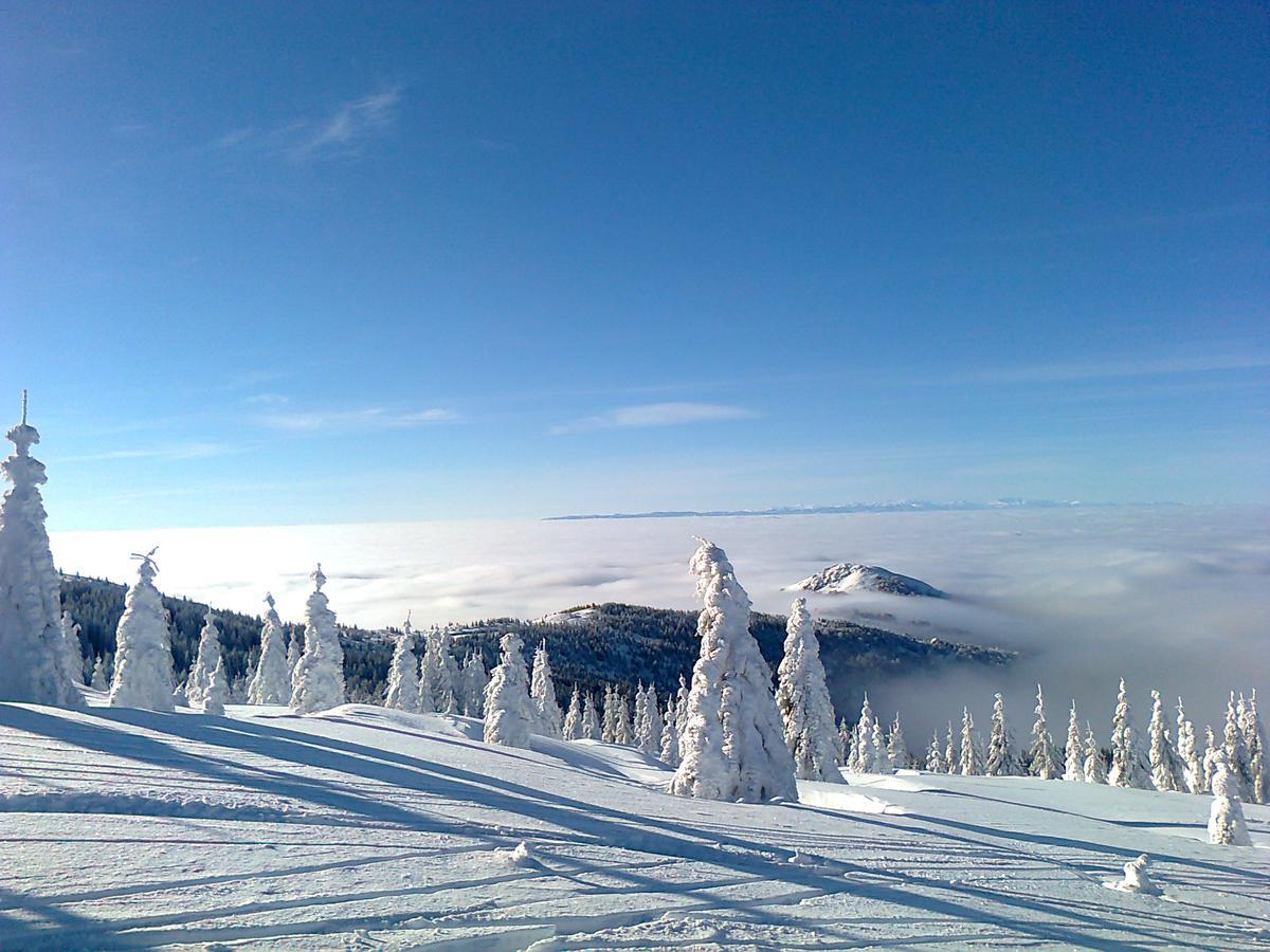 Vikendica Vila Despotovic Villa Kopaonik Eksteriør billede