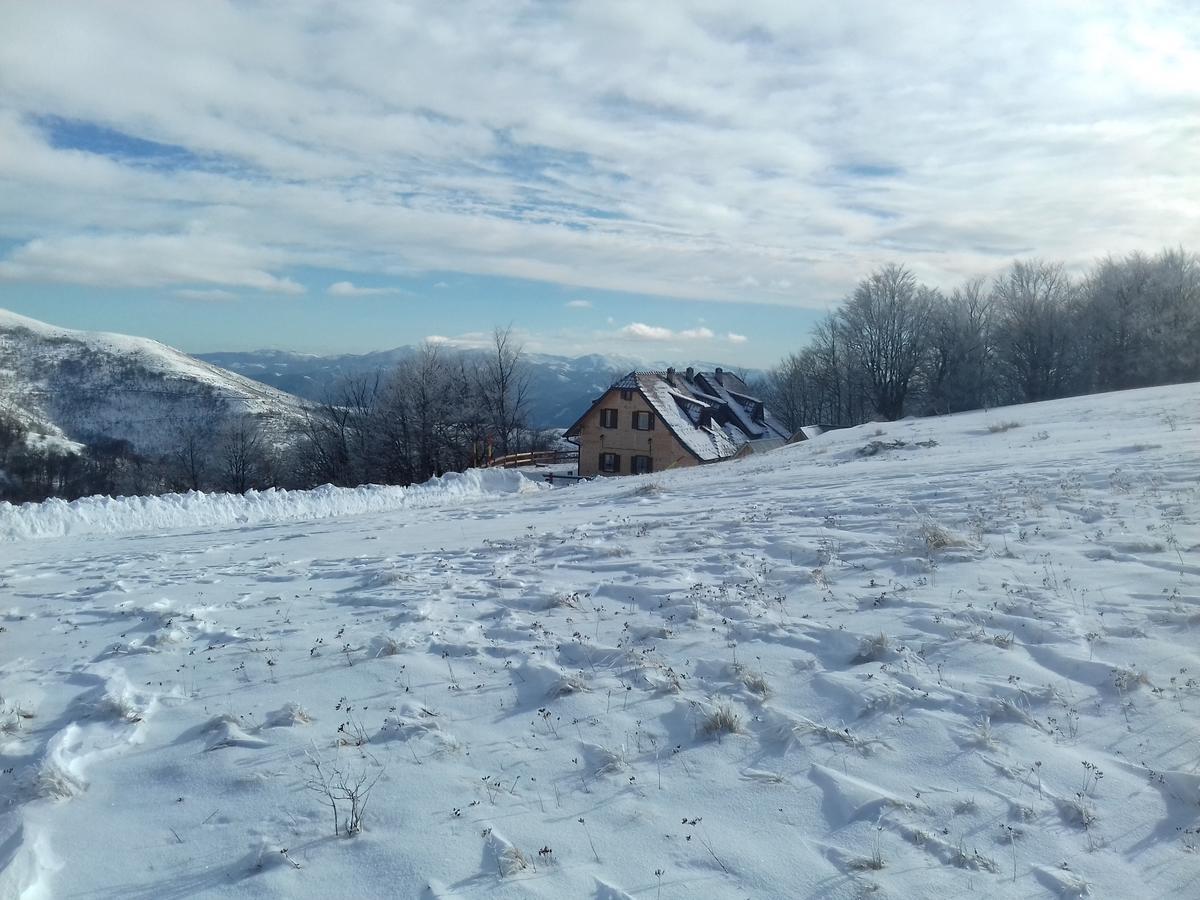 Vikendica Vila Despotovic Villa Kopaonik Eksteriør billede