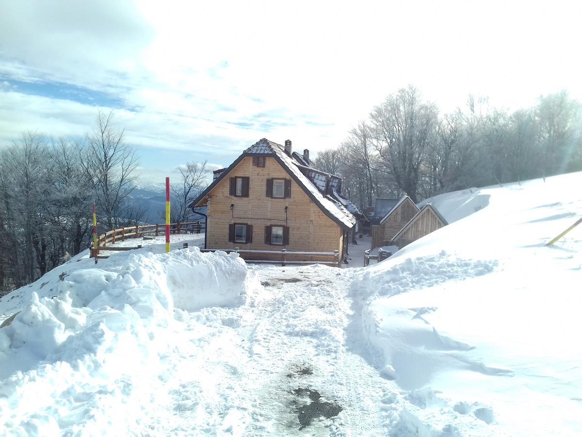 Vikendica Vila Despotovic Villa Kopaonik Eksteriør billede