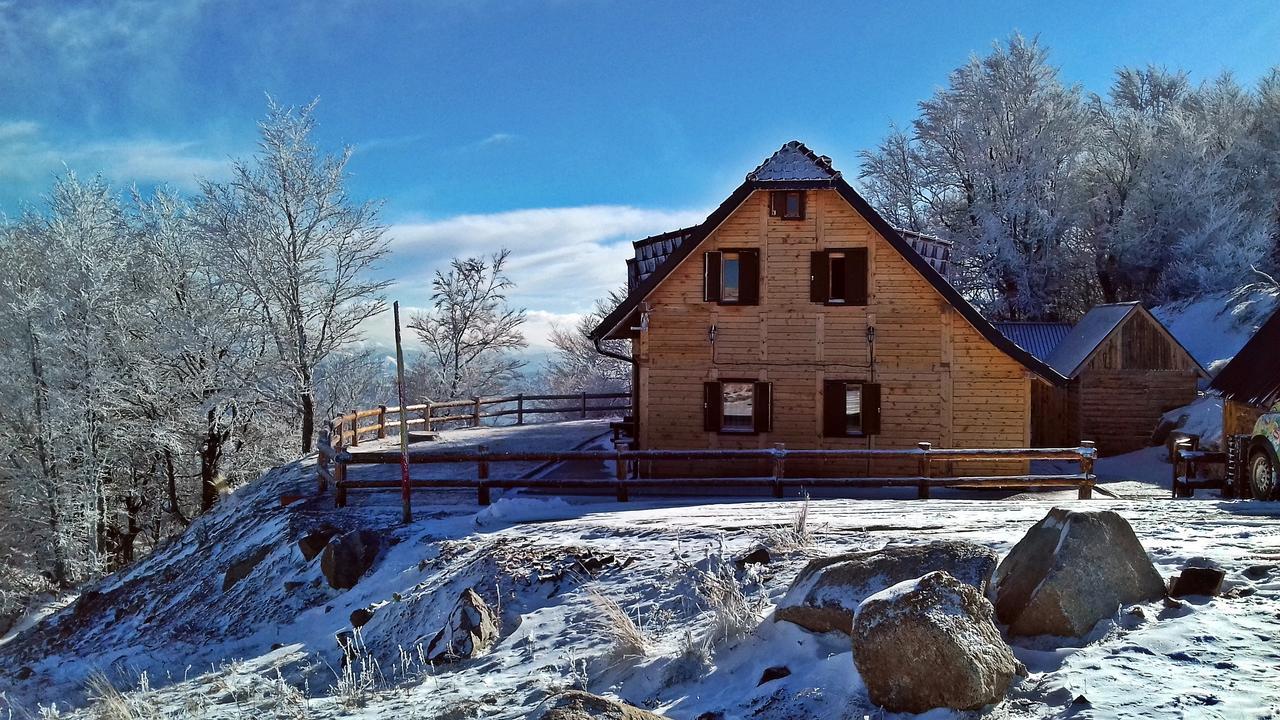 Vikendica Vila Despotovic Villa Kopaonik Eksteriør billede