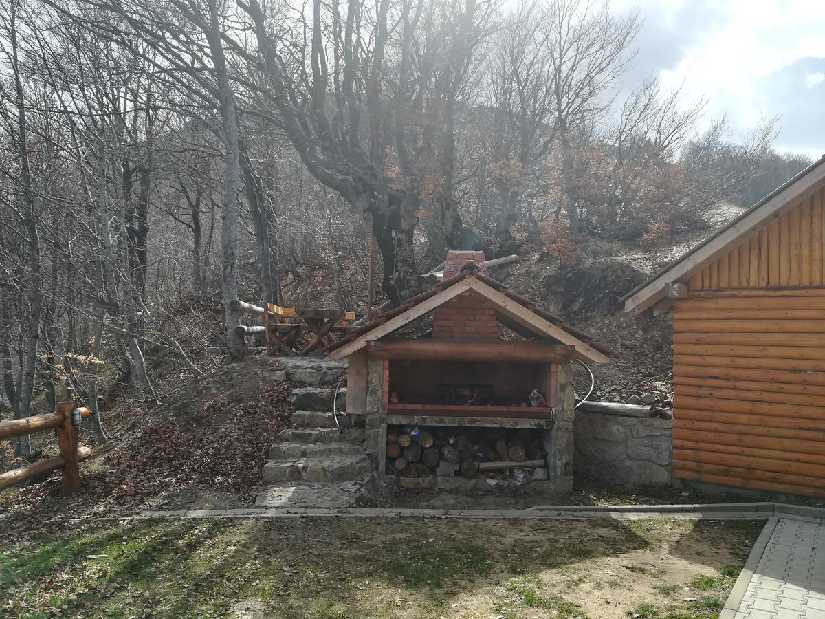 Vikendica Vila Despotovic Villa Kopaonik Eksteriør billede