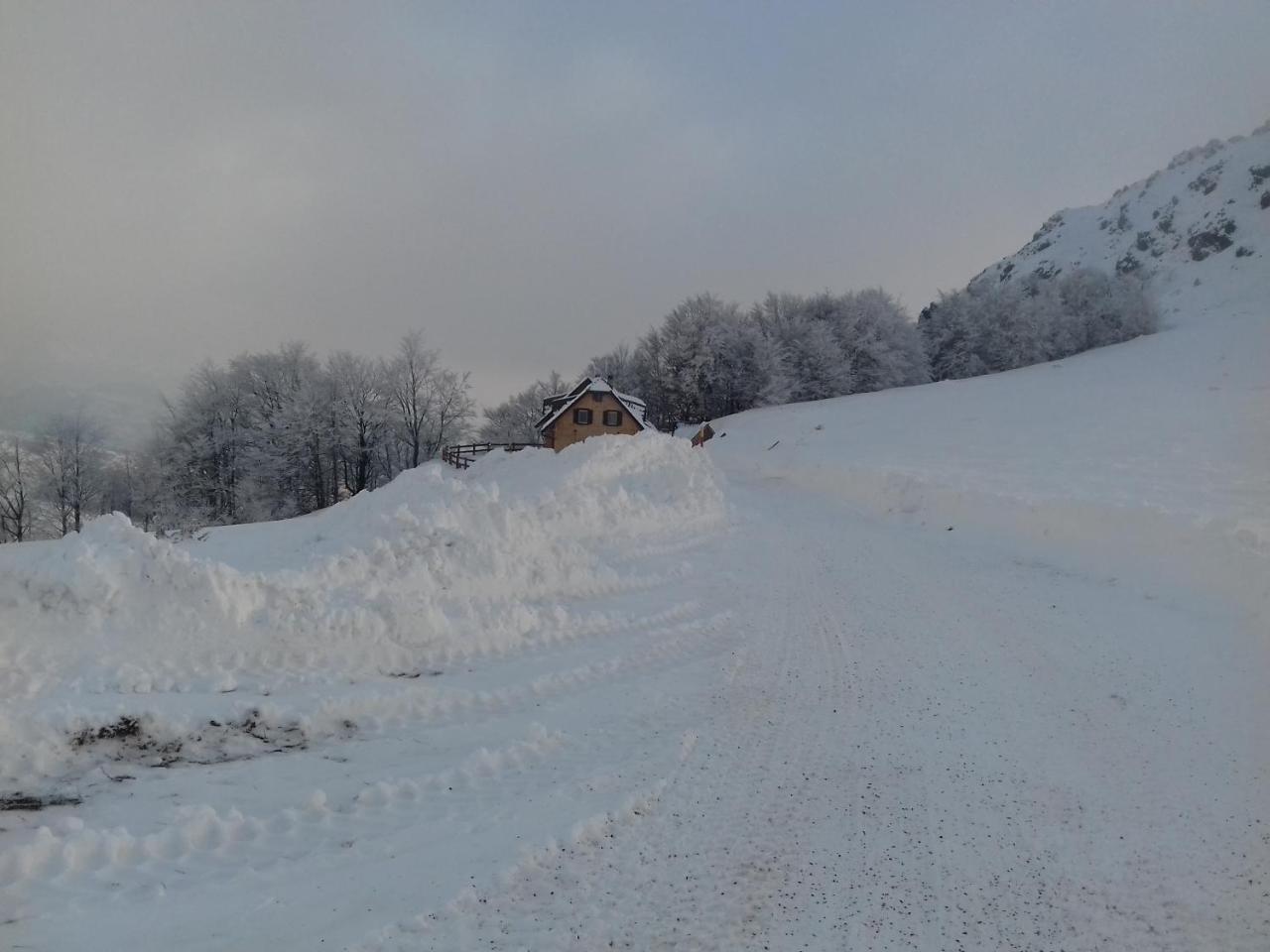 Vikendica Vila Despotovic Villa Kopaonik Eksteriør billede